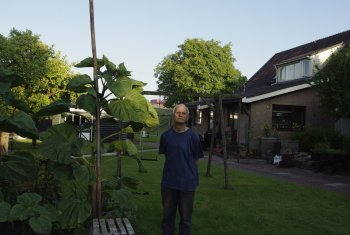 Zonnebloemwedstrijd nadert hoogtepunt!